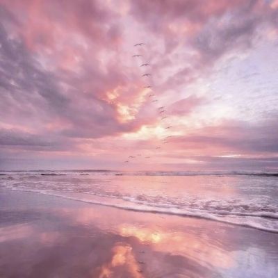 加强区域联动 开拓金融协同发展新路径